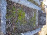 image of grave number 760115